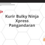 Kurir Bulky Ninja Xpress Pangandaran
